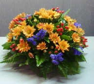 ����������