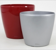 ������ � ��������  ���������� ������