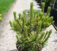 ����������