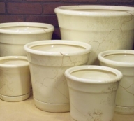 ������������ ������